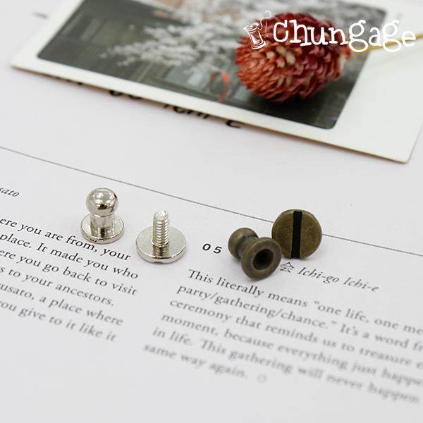 Salt Reggie Bag Submaterials 固定螺絲 8mm 2 件 2 件