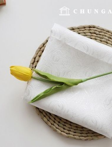聚酯纖維布料提花寬波提花espa白色象牙