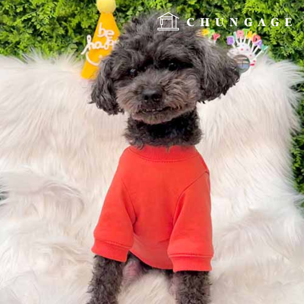 幼犬伴侶犬基本動作服裝製作 P1722