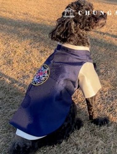 狗衣服的製作方法 圖：公狗韓服 狗：P1691