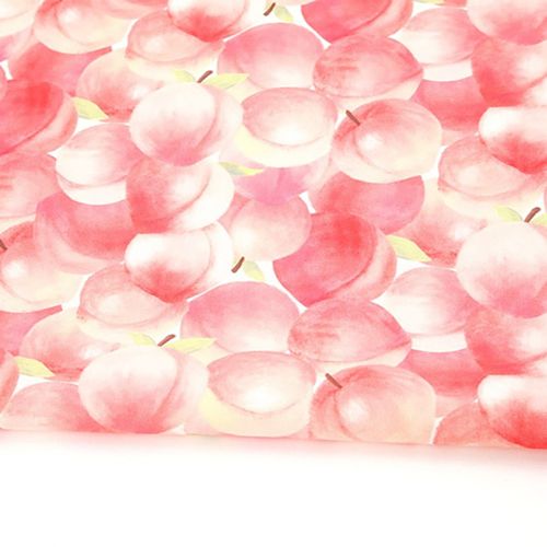 環保抗菌阻燃面料 E-DTP 20% 棉 Mallang Peach